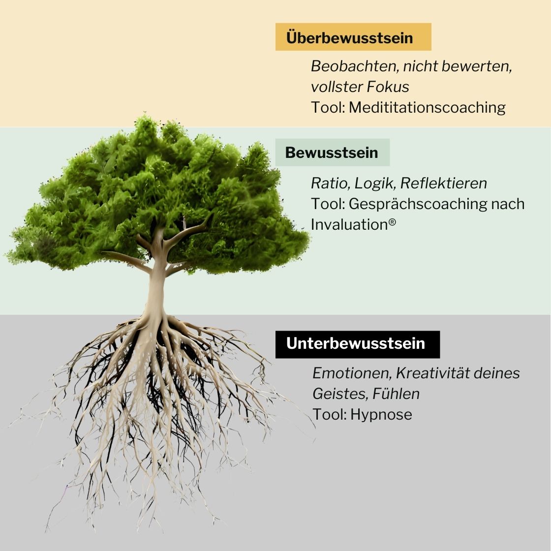 Drei Ebenen des Bewusstseins und passemde Werkzeuge